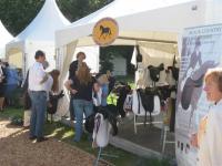 Outdoor Gelderland - The Netherlands June 9-13th image