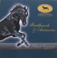 Bridlework Brochure image