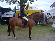 Hickstead and BSPS Working Hunter sponsorship image