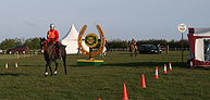 Lorna's Golden Horse Shoe image